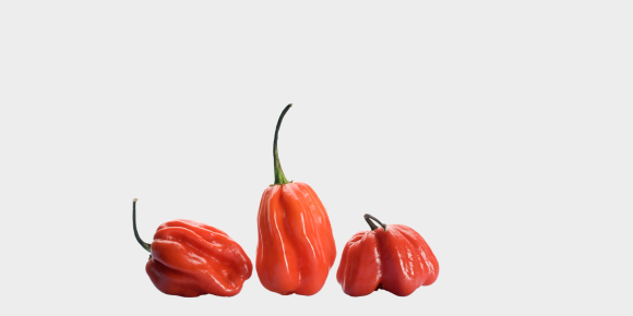 scotch bonnet 3 580x290